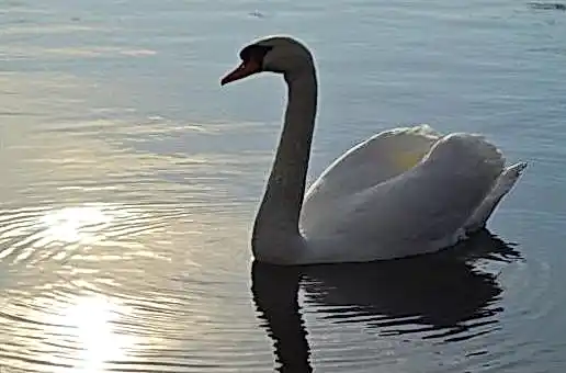 Сукааа вход 92bfaf